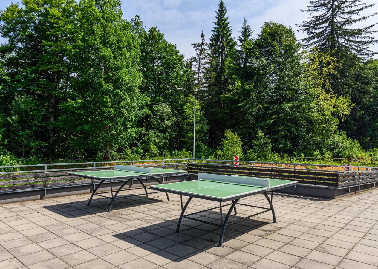 Pine Woods Studio D113 In Silver Mountain بويانا براسوف المظهر الخارجي الصورة