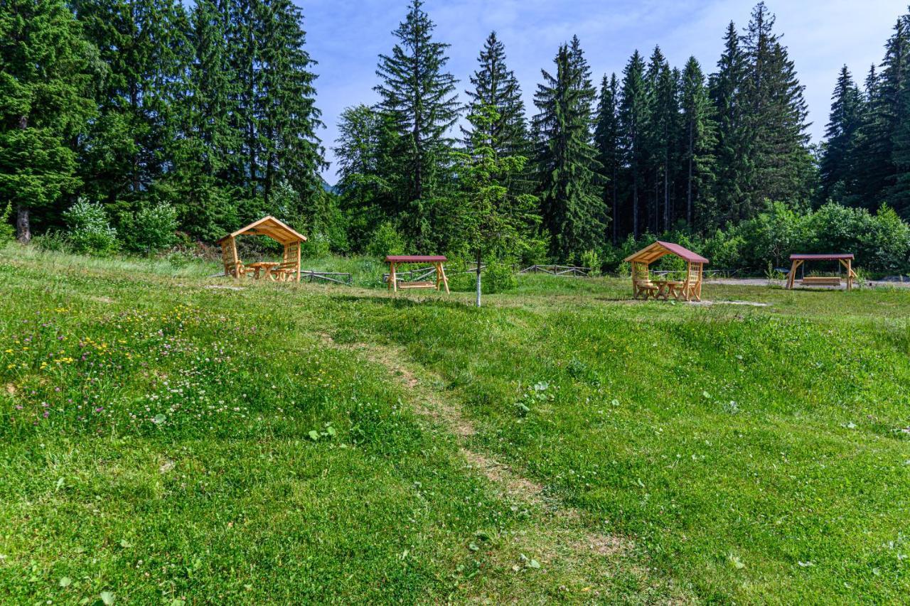 Pine Woods Studio D113 In Silver Mountain بويانا براسوف المظهر الخارجي الصورة